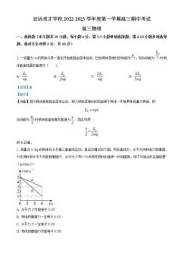 安徽省滁州市定远县育才学校2022-2023学年高二上学期11月期中物理试题（解析版）