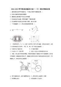 2022-2023学年陕西省榆林市高一（下）期末物理试卷（含解析）