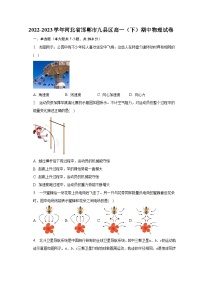 2022-2023学年河北省邯郸市九县区高一（下）期中物理试卷（含解析）