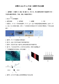 2023届浙江省绍兴诸暨市高三下学期诊断性考试（一模）物理试题word版含解析