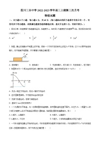 2022-2023学年四川省绵阳市三台县三台中学高三上学期第三次月考物理试题（解析版）