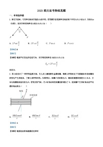 2023年高考重庆卷物理真题（解析版）