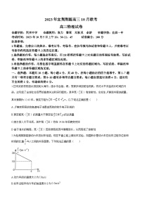 2023-2024学年湖北省宜荆荆随高三上学期10月联考物理试题 word版含解析