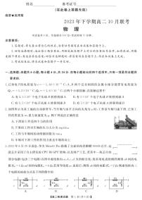 湖南省天壹名校联盟湖湘名校联合体2023-2024学年高二上学期10月月考物理试题