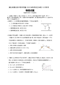 湖北省重点高中智学联盟2023-2024学年高三物理上学期10月联考试题（Word版附解析）