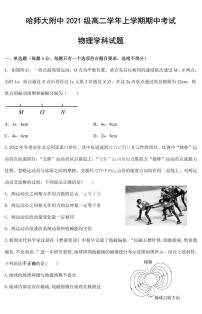 黑龙江省哈尔滨师范大学附属中学2023-2024学年高二上学期期中考试物理试卷