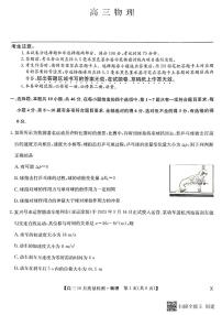 河南省九师联盟2024届高三上学期10月质量检测物理试卷