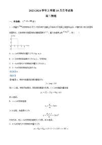 江西省宜春市丰城市东煌学校2023-2024学年高二上学期11月月考物理试题（解析版）