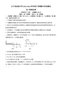 辽宁省沈阳市辽宁省实验中学2023-2024学年高二物理上学期11月期中试题（Word版附解析）