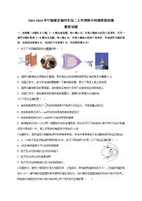 2023-2024学年福建省福州市高二上学期期中物理质量检测模拟试题（含解析）