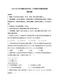 2023-2024学年福建省泉州市高二上学期期中物理质量检测模拟试题（含解析）