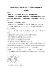 2023-2024学年甘肃省白银市高二上学期期中物理质量检测模拟试题（含解析）