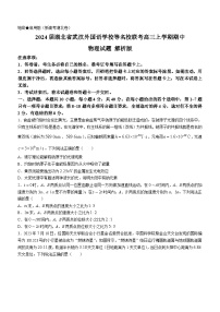 2024届湖北省武汉外国语学校等名校联考高三上学期期中物理试题 解析版