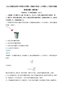 2024届湖北省华中师范大学第一附属中学高三上学期11月期中检测物理试题（解析版）