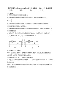 合肥市第八中学2023-2024学年高二上学期统一作业（二）物理试卷(含答案)