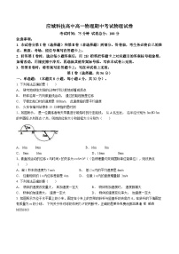 湖北省孝感市应城市科技高级中学2023-2024学年高一上学期期中考试物理试题