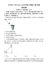 2024湖北省华中师范大学第一附中高三上学期11月期中检测物理试卷含解析