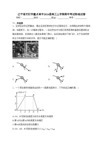 辽宁省沈阳市重点高中2024届高三上学期期中考试物理试卷(含答案)