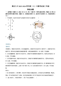 重庆市第八中学2023-2024学年高二物理上学期期中试题（Word版附解析）