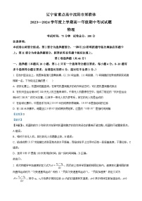 辽宁省重点高中沈阳市郊联体2023-2024学年高一上学期期中考试物理试题（解析版）