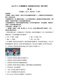 湖南省湖湘教育三新探索协作体2023-2024学年高一物理上学期11月期中联考试题（Word版附答案）