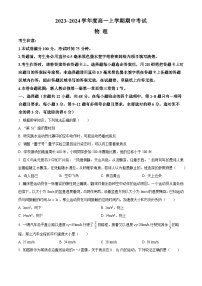 广东省深圳市联盟校2023-2024学年高一物理上学期11月期中考试试卷（Word版附解析）