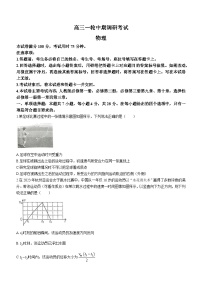 2024届河北省高三部分学校11月调研考试物理试题