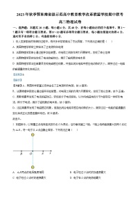 湖北省鄂东南联盟学校2023-2024学年高二上学期期中联考物理试题（Word版附解析）