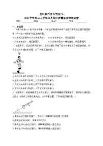 贵州省六盘水市2023-2024学年高二上学期11月期中质量监测物理试卷(含答案)