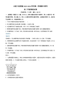 安徽省合肥六校联盟2023-2024学年高二上学期期中联考物理试卷（Word版附解析）