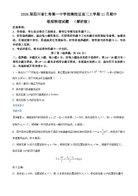 2024届四川省仁寿第一中学校南校区高三上学期11月期中理综物理试题  （解析版）