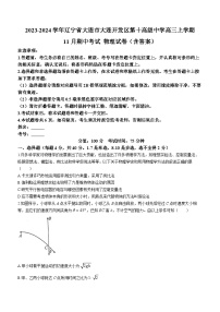 2023-2024学年辽宁省大连市大连开发区第十高级中学高三上学期11月期中考试 物理试卷（含答案）