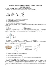 2023-2024学年江西省赣州市全南县高三上学期11月期中考试 物理试题（含解析）