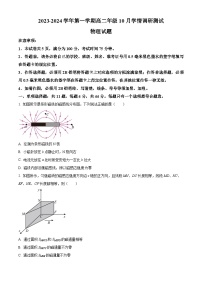 2024扬州高邮高二上学期10月月考物理试题含解析