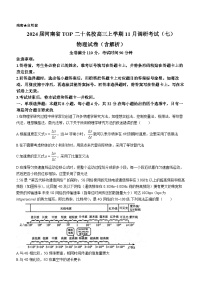 2024届河南省TOP二十名校高三上学期11月调研考试（七）物理试卷（含解析）