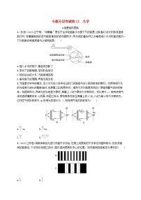 适用于新高考新教材2024版高考物理二轮复习专题分层突破练13光学（附解析）