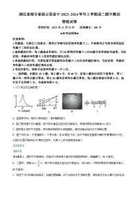 2024湖北省部分省级示范高中高二上学期期中考试物理试题含解析