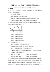 安徽省2023-2024学年高一上学期期中考试物理试卷（含解析）