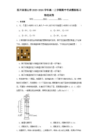 四川省眉山市2023-2024学年高一上学期期中考试模拟练习物理试卷（含解析）