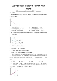 云南省昆明市2023-2024学年高一上学期期中考试物理试卷（含解析）