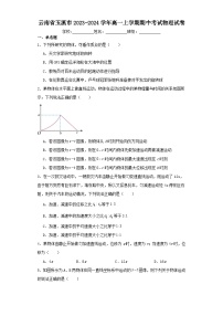 云南省玉溪市2023-2024学年高一上学期期中考试物理试卷（含解析）