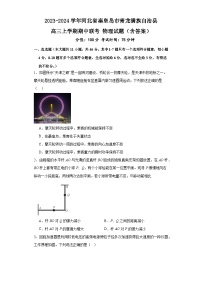 2023-2024学年河北省秦皇岛市青龙满族自治县高三上学期期中联考 物理试题（含答案）