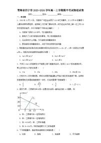 青海省西宁市2023-2024学年高一上学期期中考试物理试卷（含解析）