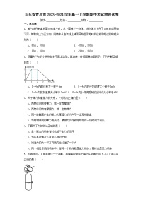 山东省青岛市2023-2024学年高一上学期期中考试物理试卷（含解析）