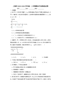 上海市2023-2024学年高一上学期期末考试物理试卷（含解析）