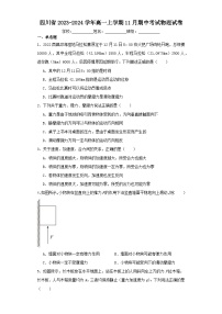 四川省2023-2024学年高一上学期11月期中考试物理试卷（含解析）