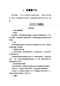 高中物理人教版 (2019)必修 第三册5 能量量子化教学设计及反思