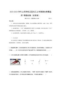 2023-2024学年上海市松江区高三上学期期末质量监控 物理试卷（含答案）