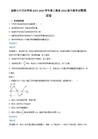 四川省成都市成都七中万达学校2023-2024学年高二上学期11月期中考试物理试题（解析版）