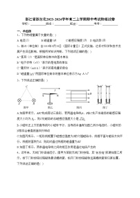 浙江省浙东北2023-2024学年高二上学期期中考试物理试卷(含答案)